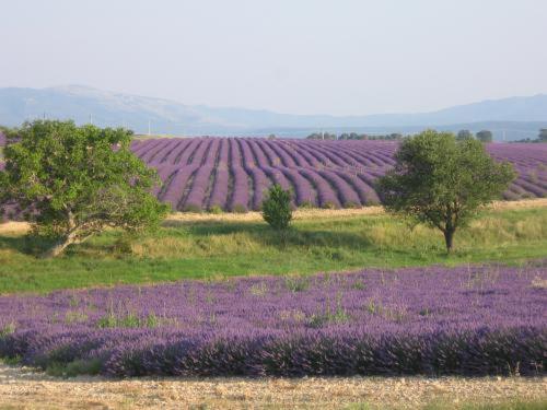 Ferme Para Lou Сент-Круа-дю-Вердон Экстерьер фото